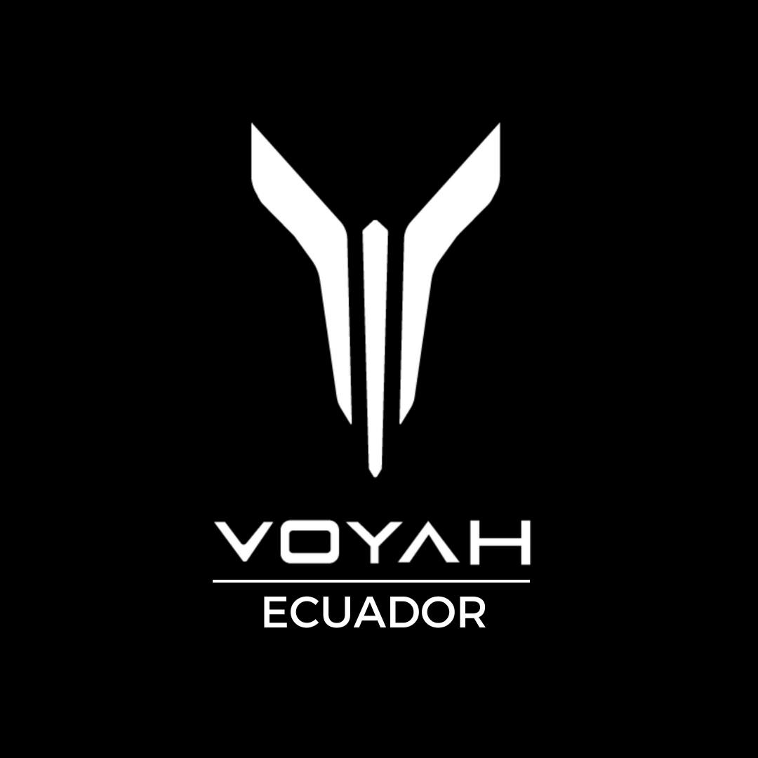 Voyah logo
